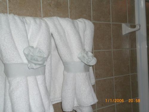 Imagen de la habitación del Hotel Las Americas M&eacute;rida. Foto 7