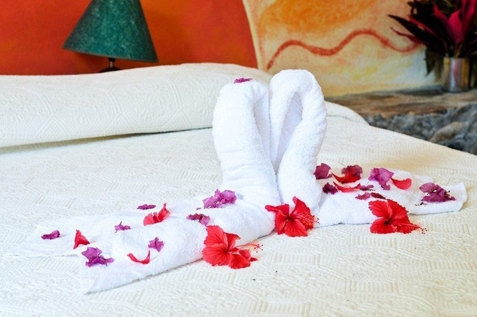 Imagen de la habitación del Hotel Las Ballenas Escondidas. Foto 8