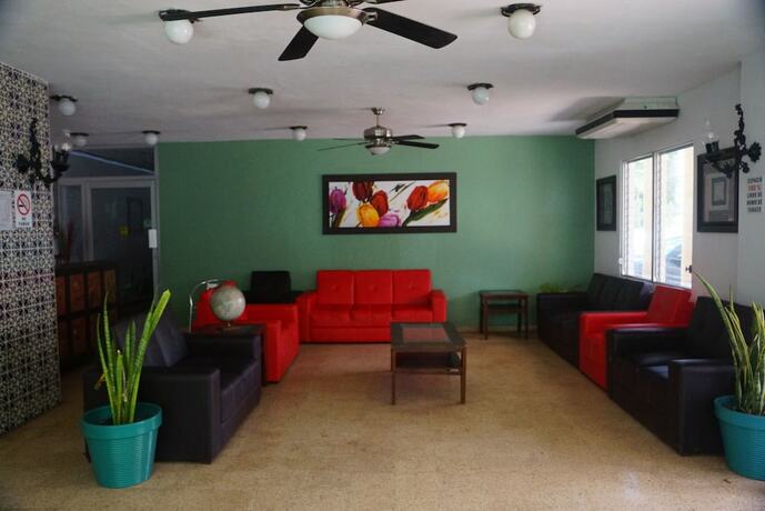Imagen general del Hotel Las Dalias Inn. Foto 2