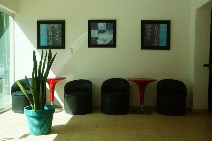 Imagen general del Hotel Las Dalias Inn. Foto 10