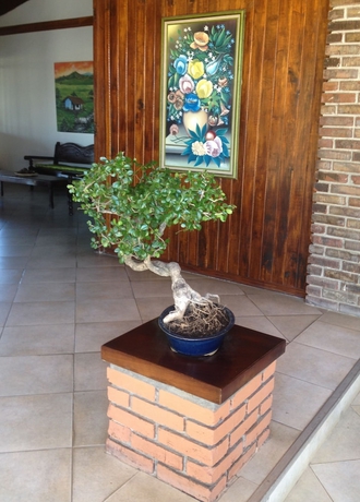 Imagen de los interiores del Hotel Las Espuelas. Foto 15