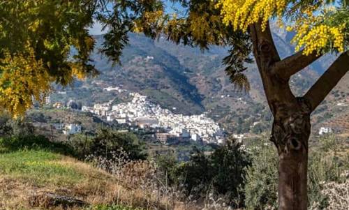 Imagen de la habitación del Hotel Las Flores, Tolox. Foto 2