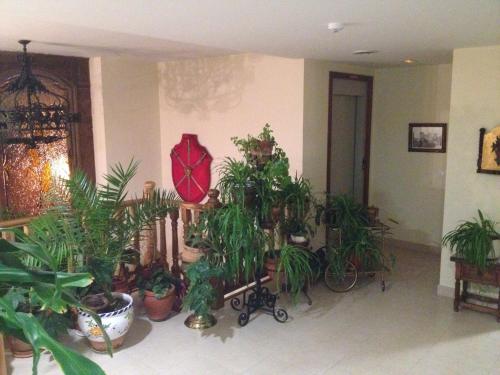 Imagen general del Hotel Las Fuentes, Torrecaballeros. Foto 16