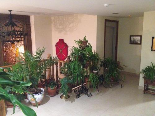 Imagen general del Hotel Las Fuentes, Torrecaballeros. Foto 17