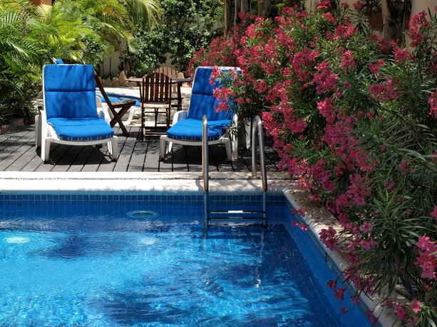 Imagen de la piscina del Hotel Las Golondrinas, Playa del Carmen. Foto 12