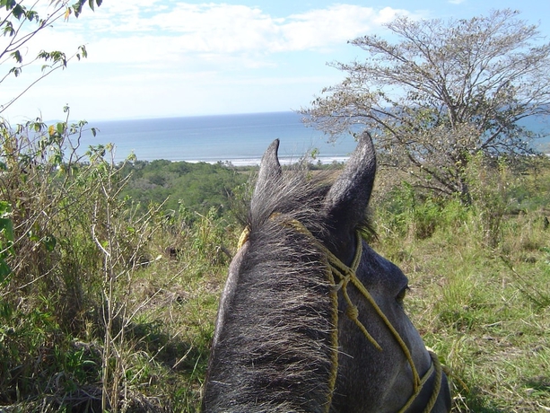 Imagen general del Hotel Las Lajas Beach Resort. Foto 3