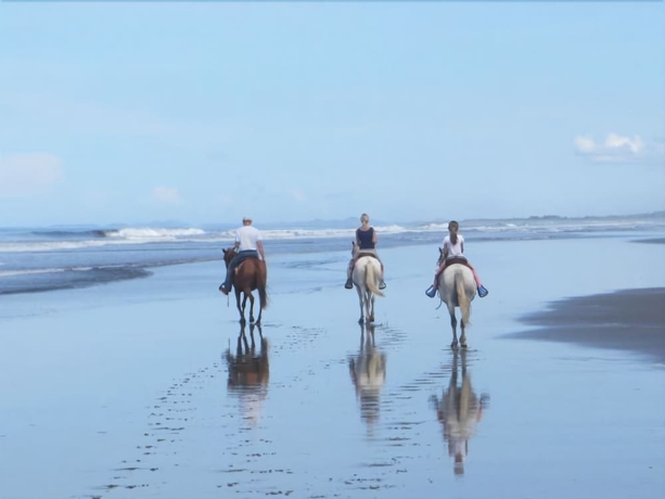 Imagen general del Hotel Las Lajas Beach Resort. Foto 6