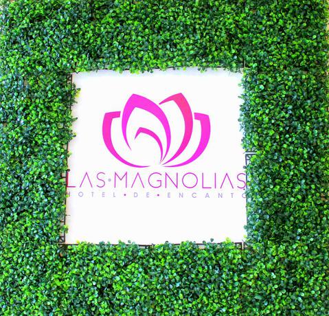 Imagen general del Hotel Las Magnolias Boutique. Foto 3