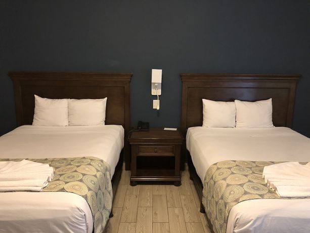 Imagen de la habitación del Hotel Las Margaritas Merida. Foto 4