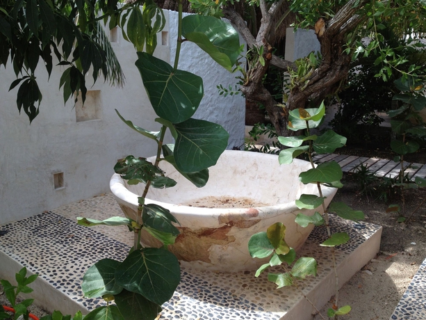 Imagen de los interiores del Hotel Las Nubes De Holbox. Foto 10