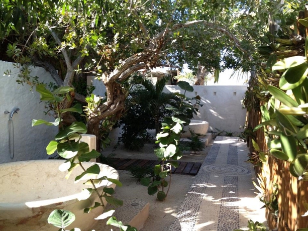 Imagen de los interiores del Hotel Las Nubes De Holbox. Foto 11