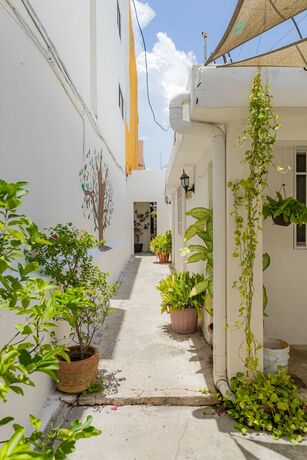 Imagen general del Hotel Las Palmas Cancun Centro. Foto 6