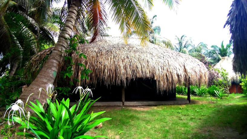Imagen de la habitación del Hotel Las Palmeras, Cartagena de Indias. Foto 12