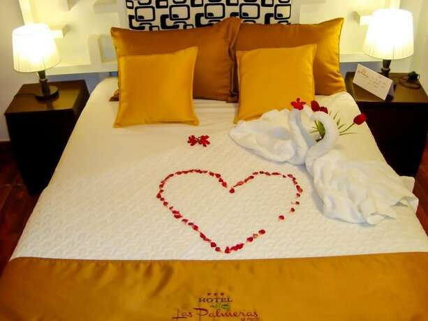 Imagen general del Hotel Las Palmeras de Pisco. Foto 1