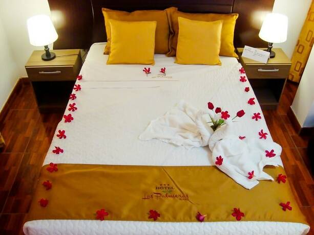 Imagen general del Hotel Las Palmeras de Pisco. Foto 4