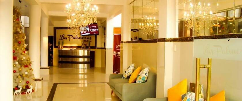 Imagen general del Hotel Las Palmeras de Pisco. Foto 7