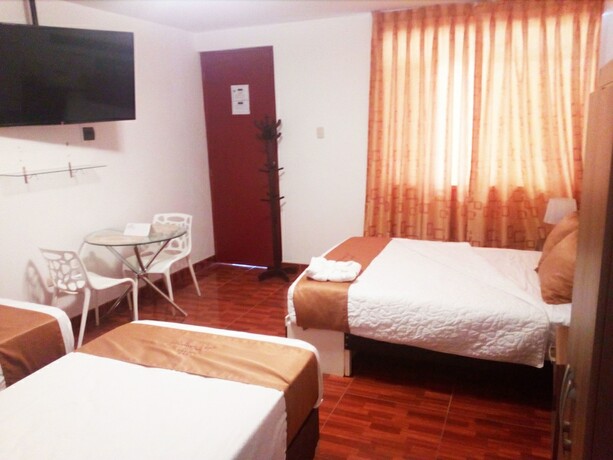 Imagen general del Hotel Las Palmeras de Pisco. Foto 11