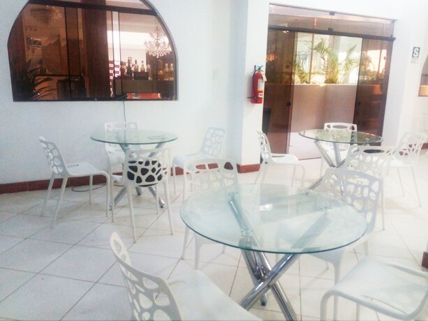 Imagen general del Hotel Las Palmeras de Pisco. Foto 13