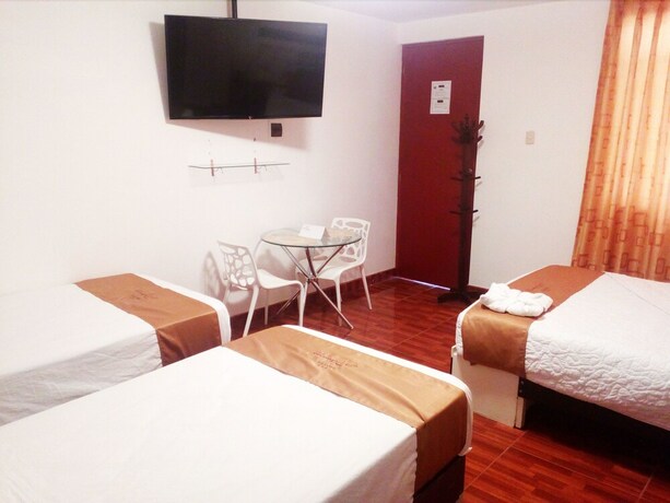 Imagen general del Hotel Las Palmeras de Pisco. Foto 15