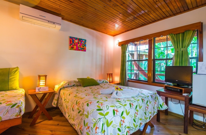 Imagen de la habitación del Hotel Las Rocas Resort and Dive Center. Foto 17