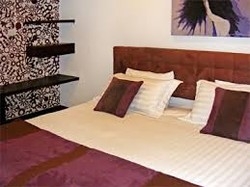 Imagen de la habitación del Hotel Las Rosas Boutique. Foto 4