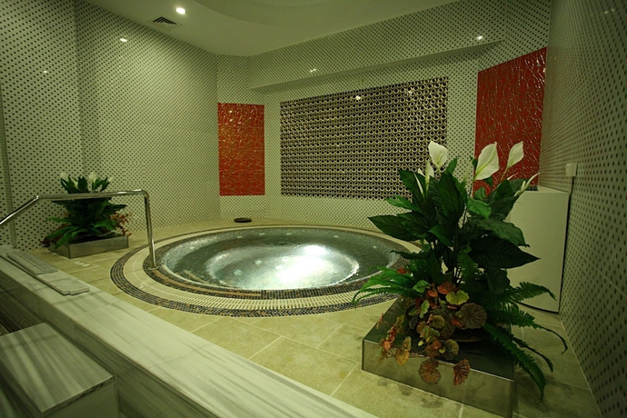 Imagen de la piscina del Hotel Latanya Palm and Spa. Foto 19