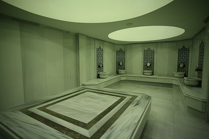 Imagen de los interiores del Hotel Latanya Palm and Spa. Foto 16