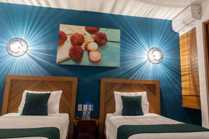 Imagen de la habitación del Hotel Latino Boutique. Foto 11