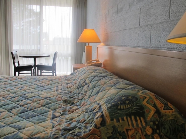 Imagen de la habitación del Hotel Latrobe Motel Morwell. Foto 14