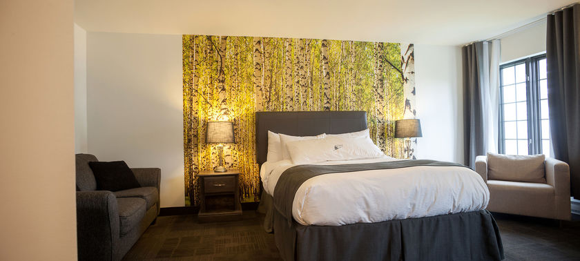 Imagen de la habitación del Hotel L'auberge Du Lac Saint-pierre. Foto 5