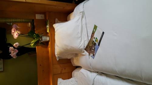 Imagen de la habitación del Hotel L'aubrac. Foto 7