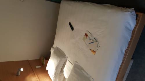 Imagen de la habitación del Hotel L'aubrac. Foto 12