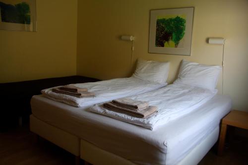 Imagen de la habitación del Hotel Laugarh&oacute;ll with natural hot spring. Foto 3