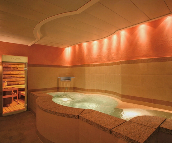 Imagen de la piscina del Hotel Lausanne Palace. Foto 14