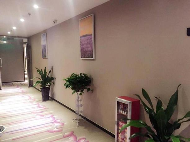 Imagen general del Hotel Lavande Hotel (Shanghai Zhangjiang Guanglan Road Metro Station). Foto 2