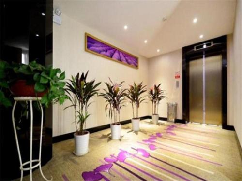 Imagen general del Hotel Lavande Wuhan Wangjiawan Subway Station Branch. Foto 2