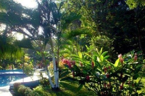 Imagen general del Hotel Lavas Del Arenal. Foto 4