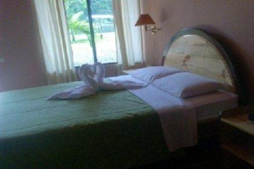 Imagen general del Hotel Lavas Del Arenal. Foto 8