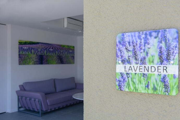 Imagen de la habitación del Hotel Lavender Cove. Foto 19