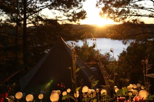 Imagen general del Hotel Lavender Glamping and Resorts Dalat. Foto 4
