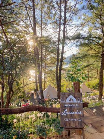 Imagen general del Hotel Lavender Glamping and Resorts Dalat. Foto 8