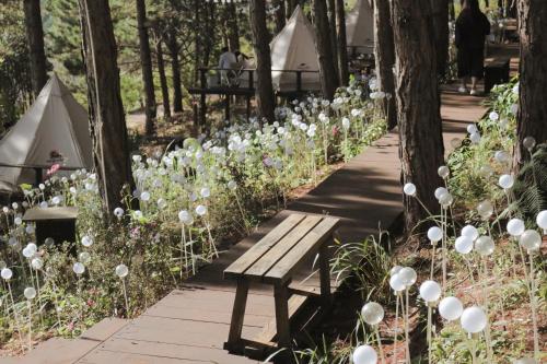 Imagen general del Hotel Lavender Glamping and Resorts Dalat. Foto 10