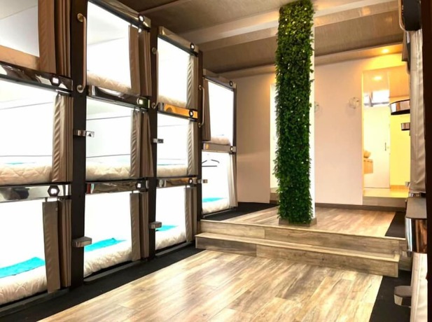 Imagen de la habitación del Hotel Lavid Kennedy. Foto 18