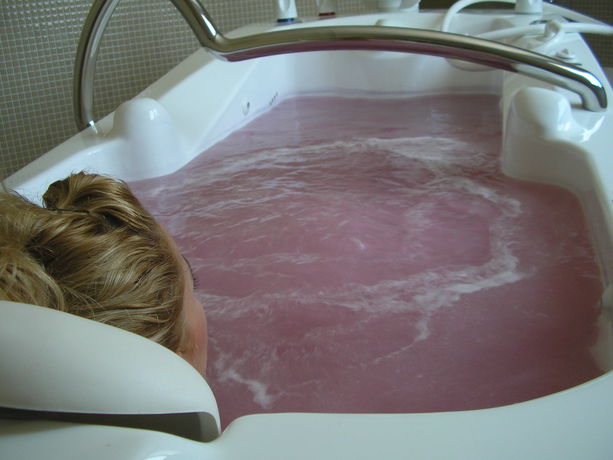 Imagen de los interiores del Hotel Lavida Vino - Spa. Foto 24