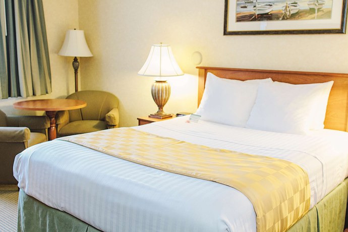 Imagen de la habitación del Hotel Lavissh Inn & Suites. Foto 5