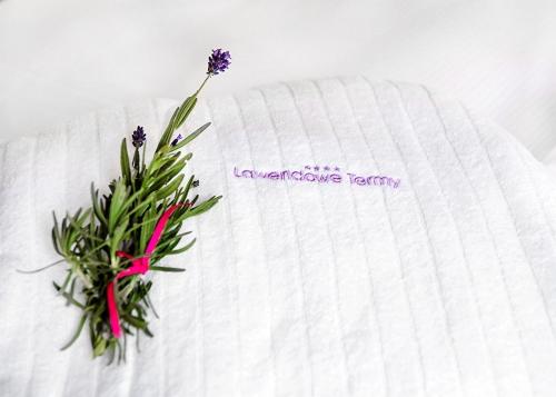 Imagen de la habitación del Hotel Lawendowe Termy. Foto 5