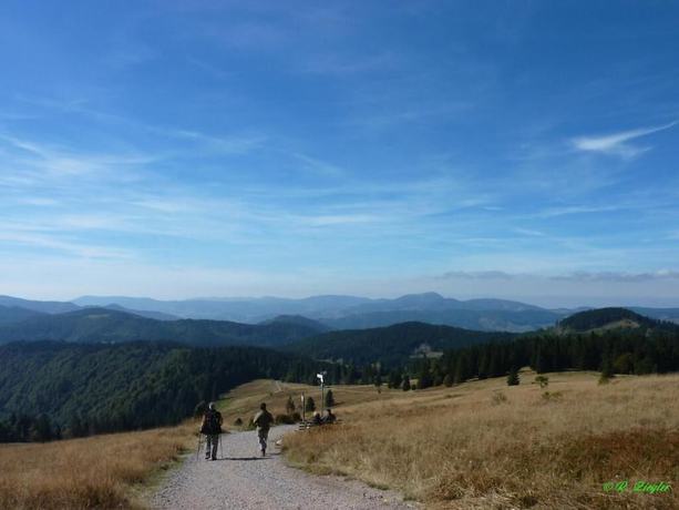 Imagen de los exteriores del Hotel Lawine. Foto 17