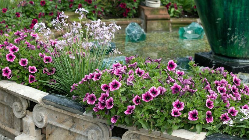 Imagen de la habitación del Hotel Lawlors of Naas. Foto 8