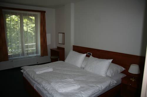 Imagen de la habitación del Hotel Lazensky Park. Foto 2