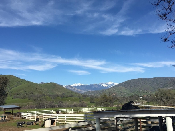 Imagen de los exteriores del Hotel Lazy J Ranch Motel. Foto 11
